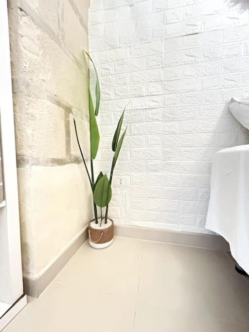 Apartament Accogliente Monolocale In Centro Storico